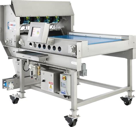 grape sorting machines